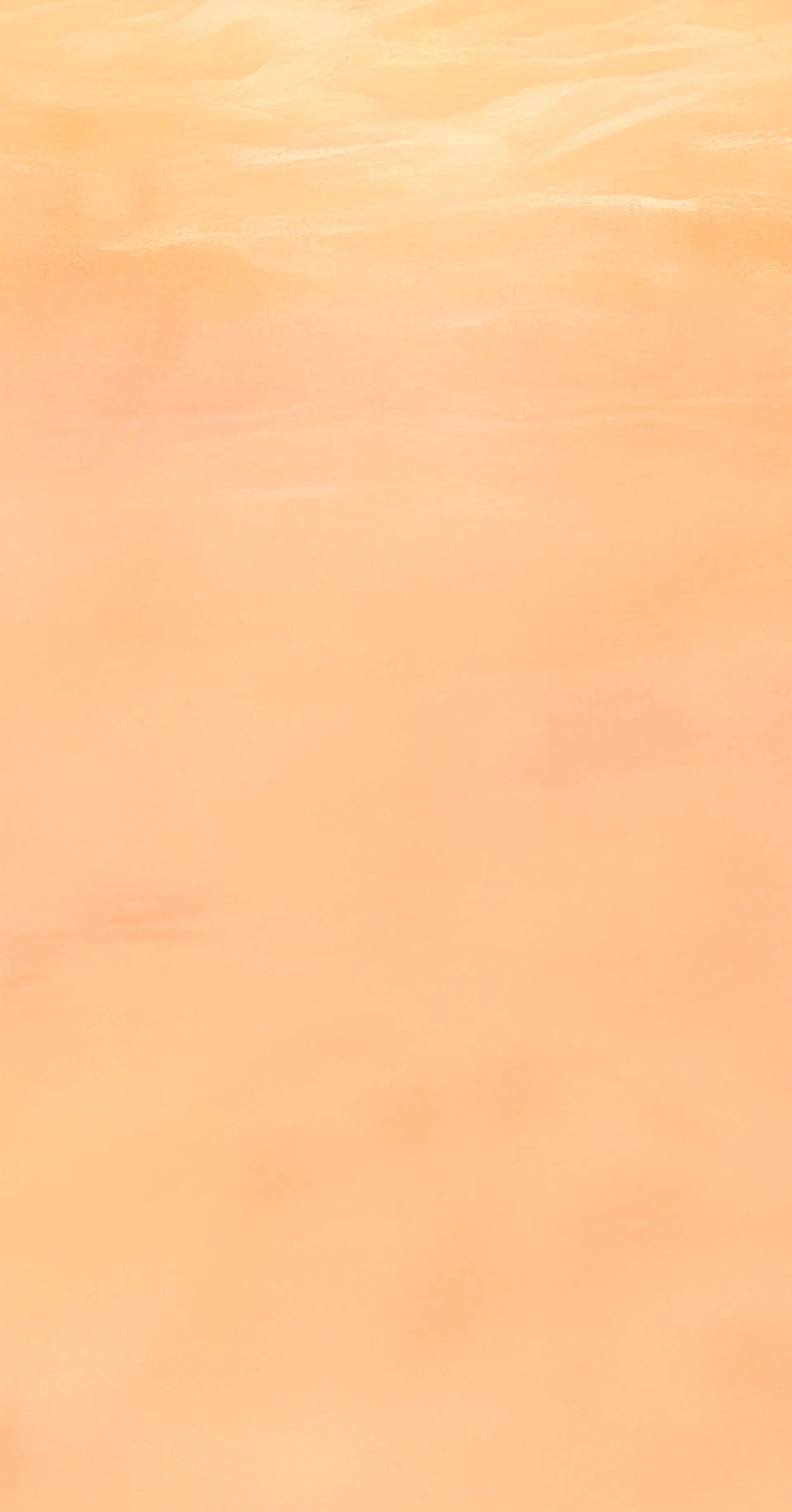 MechaConquest Background